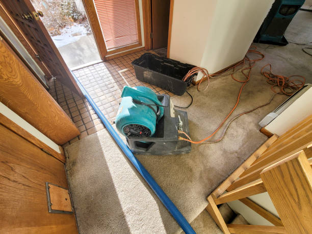 Best Flood damage cleanup  in Nash, TX