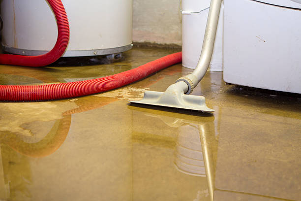 Best Water damage restoration process  in Nash, TX