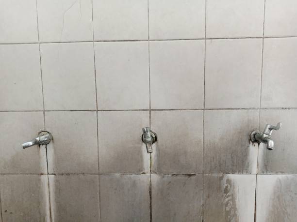 Best Residential water damage restoration  in Nash, TX