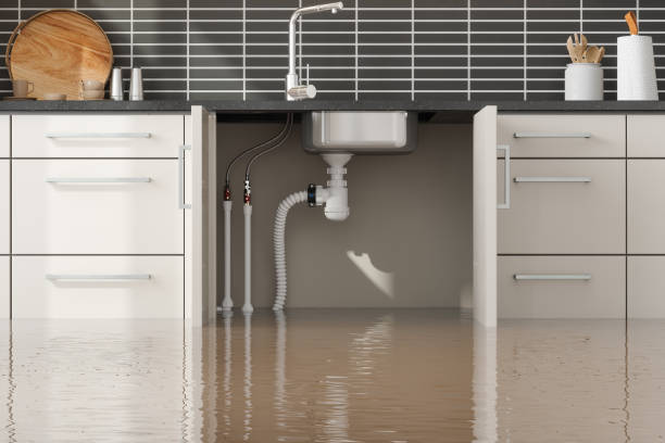 Best Water damage restoration near me  in Nash, TX