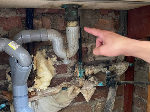Best Flooded house restoration  in Nash, TX